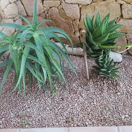 Сasa de vacaciones Alessandra *